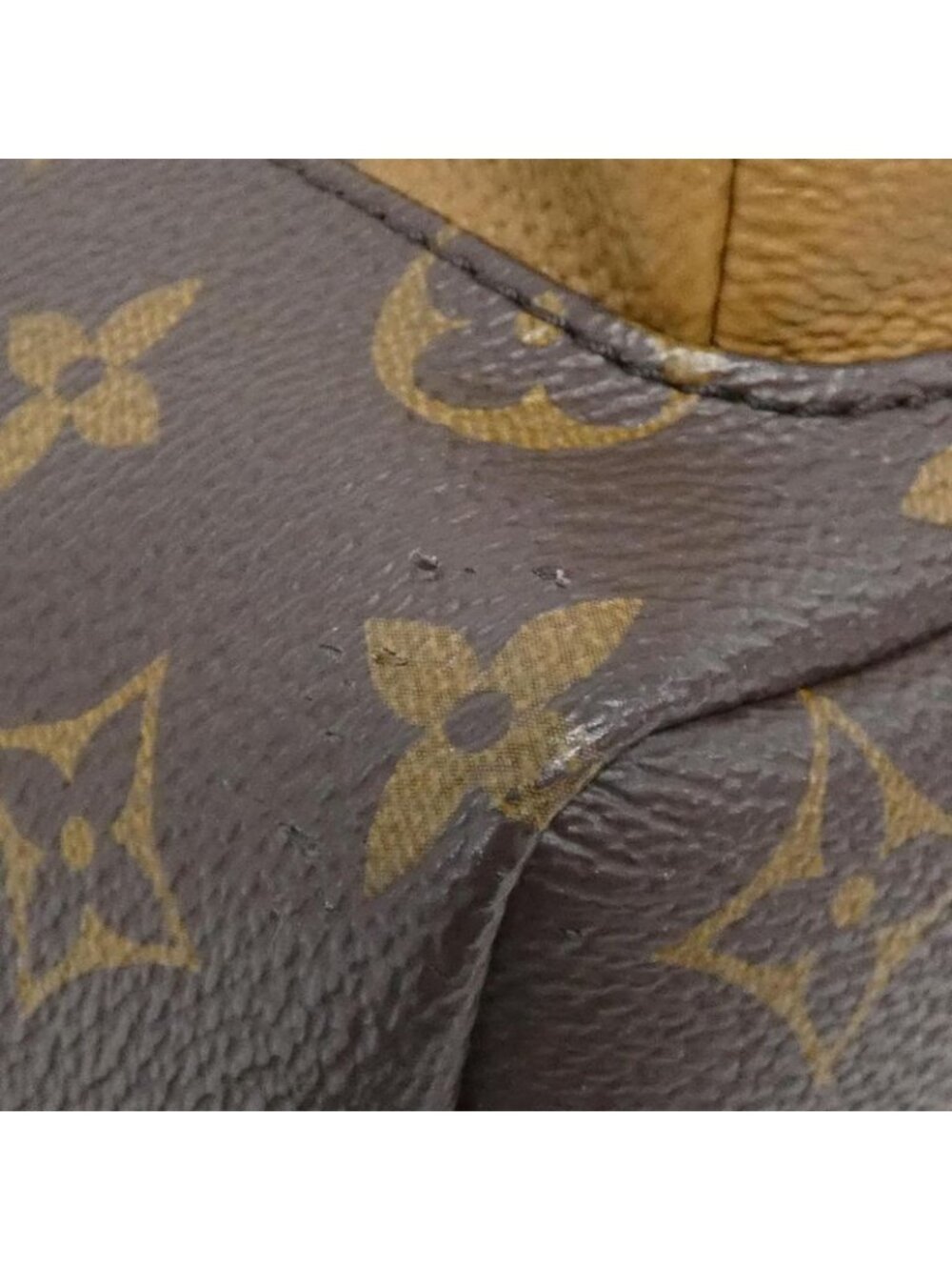 Louis Vuitton Monogram Reverse Palm Spring Backpack PM - Picture 3 of 7